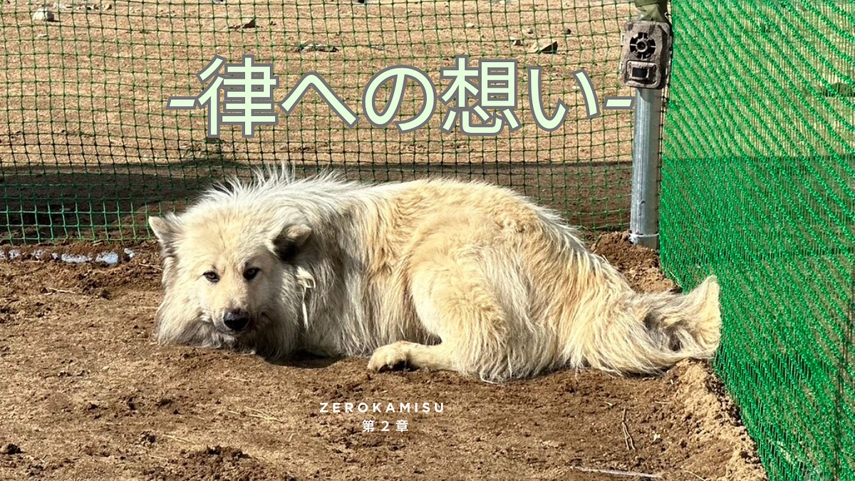 -律への想い-ZEROKAMISU