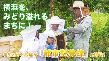 都市型養蜂で横浜を緑溢れる街に！IWASAKIみつばちプロジェクト