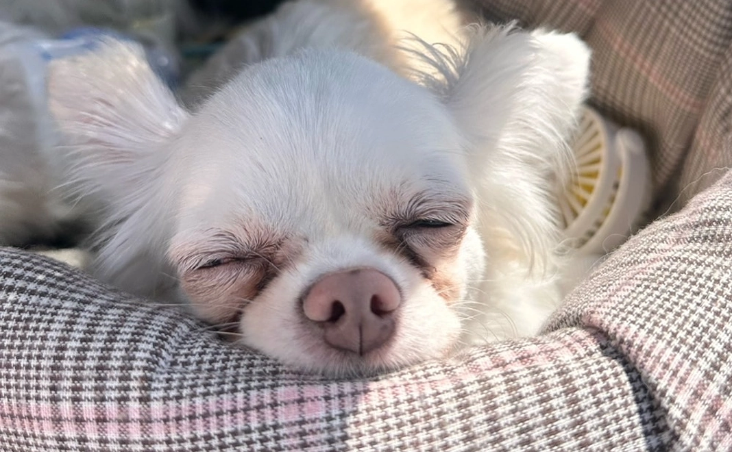 心からの感謝を伝えさせて下さい