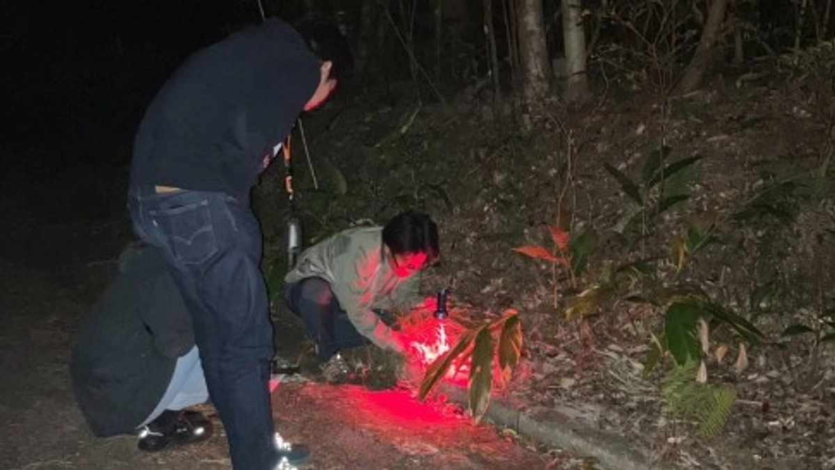 保全体験型ナイトツアーAKISAMIYOのプロモーション動画製作とSNS拡散！