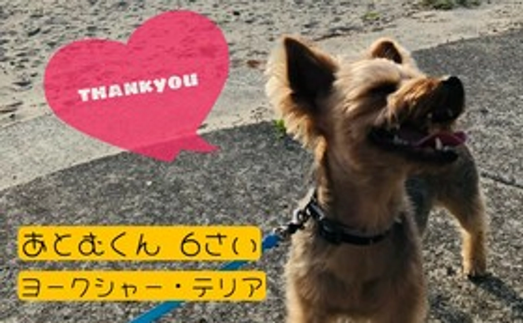 お気持ちコース：３千円