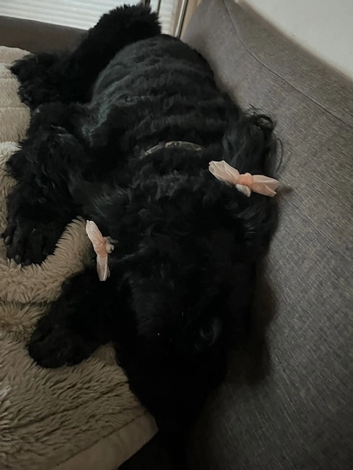 経過順調ですが・・・