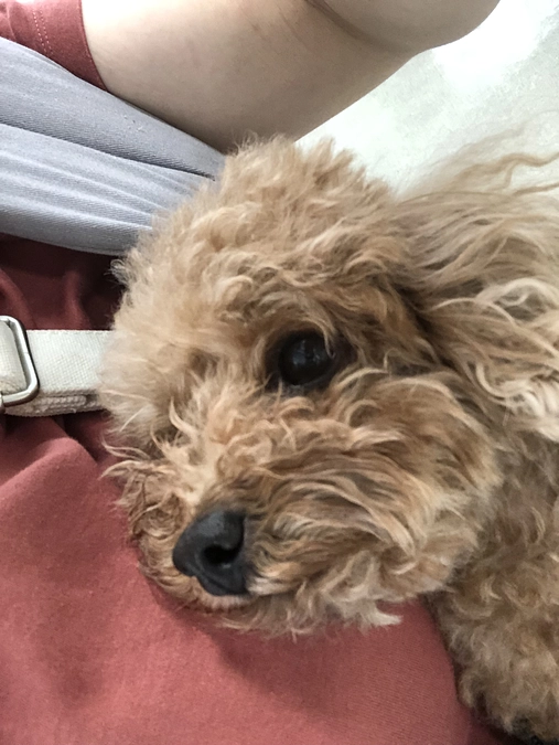 退院しました！