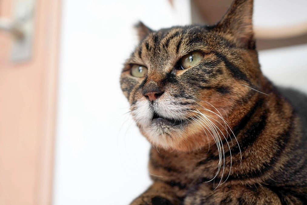 【支援者様は要チェック！】記念セミナーが土曜日に開催されます。