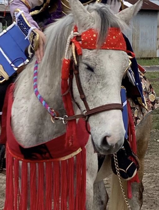 夢の中で爆走だぜ！　Byカムイ