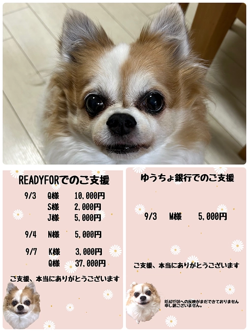 9月2日〜9月8日までのご支援