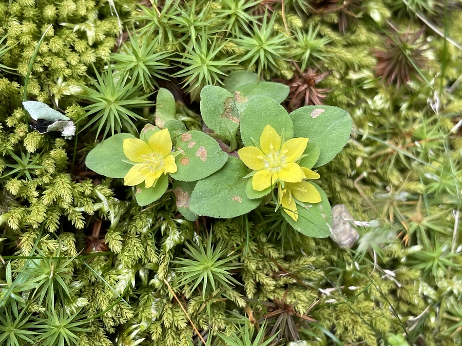 若き日のお大師さま