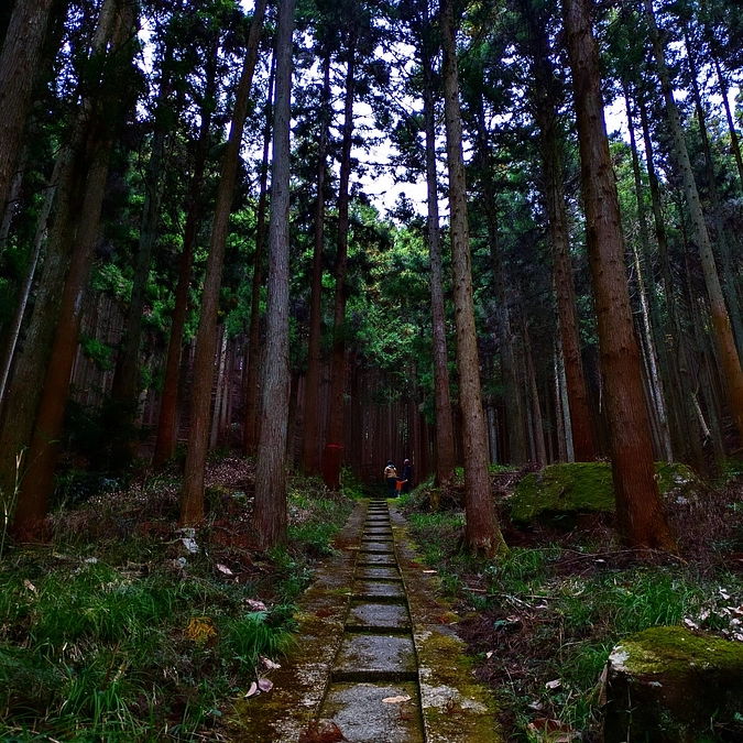 空腹で出てきたら木の実お願いします