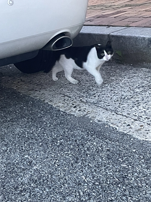 4週間経ちました。