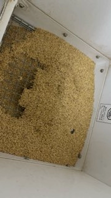 感謝の気持ち😊