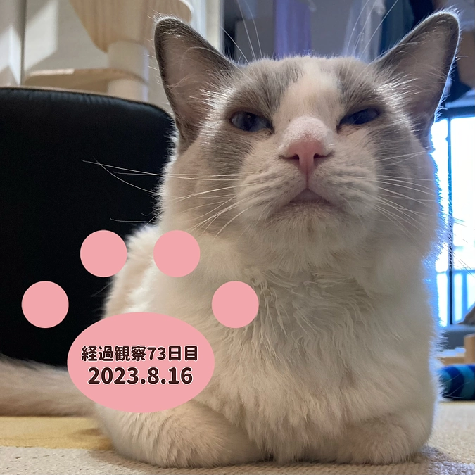 経過観察73日目(2023.8.16)