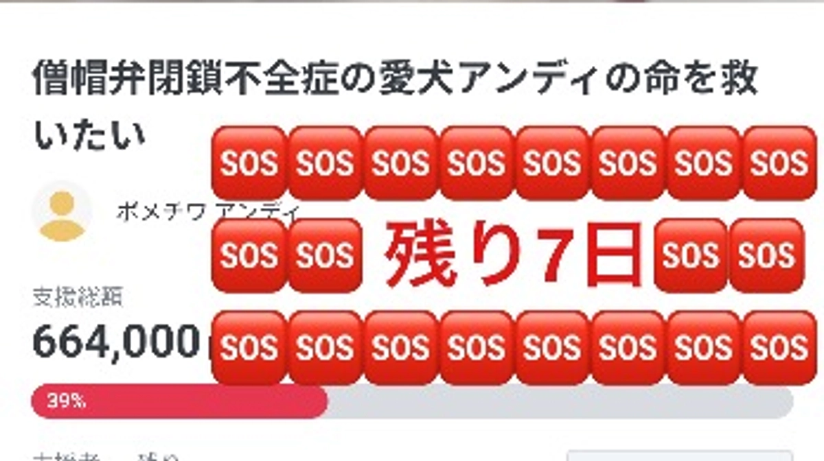 🆘🆘残り7日🆘🆘