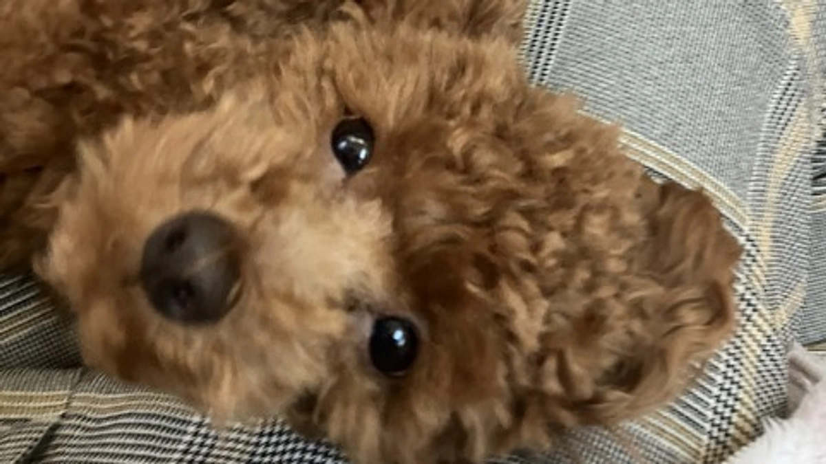 残り9日となりました。いつもありがとうございます！