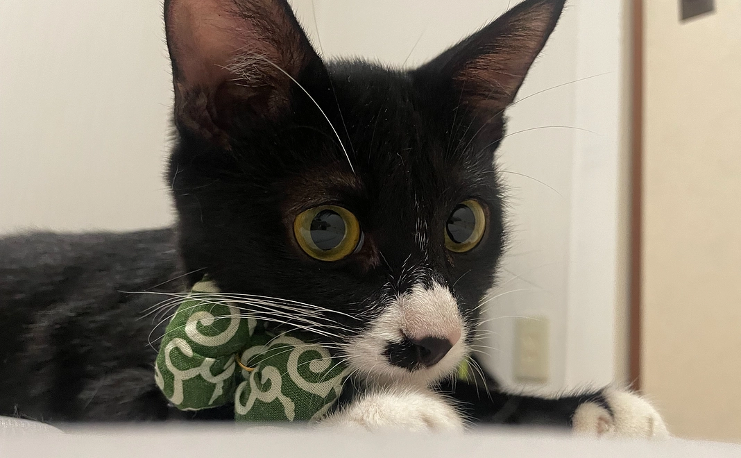 リターン不要の方¥500