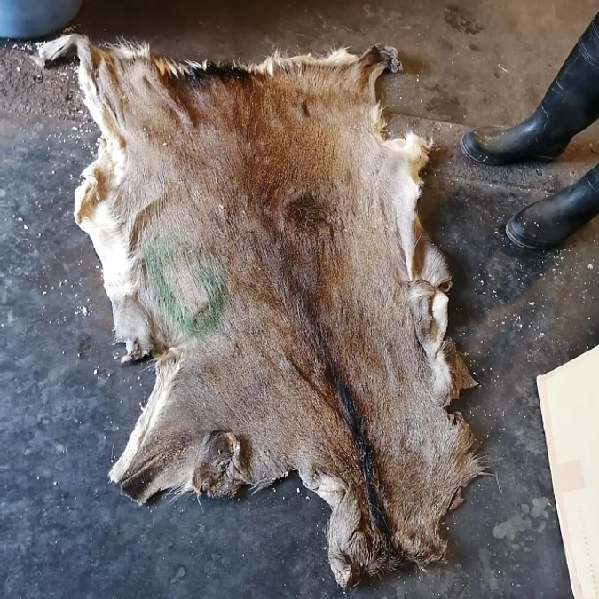 はじめまして。こんにちは。