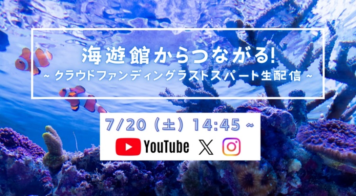 お見逃しなく！【7/20(土)14:45~｜YouTube・X・インスタグラム同時生配信のお知らせ】