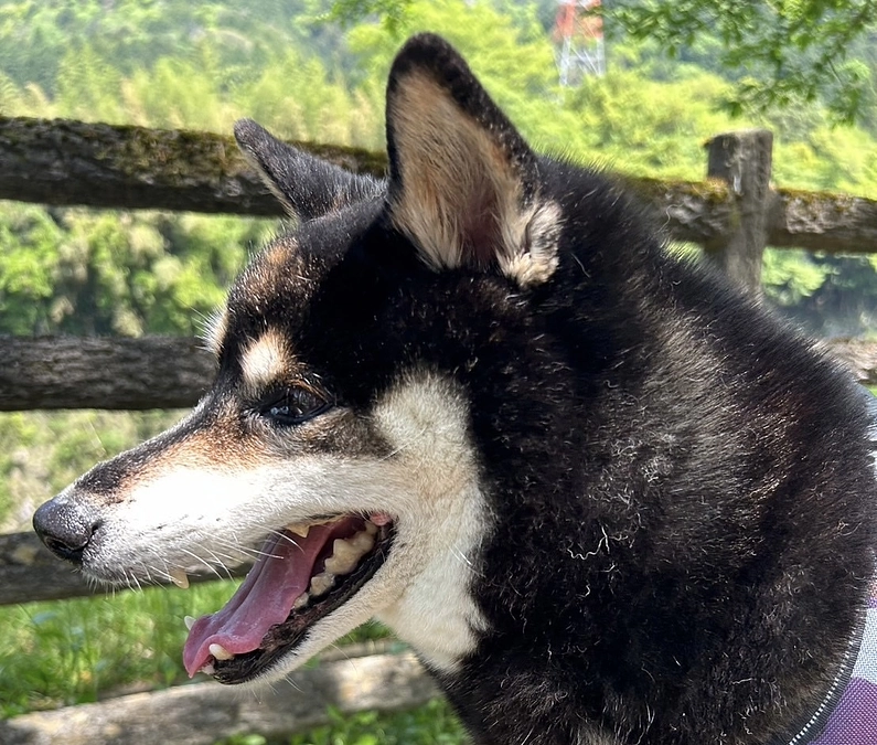 今日は大丈夫そう