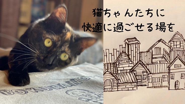 ぼくらのてが保護猫のための場をつくる。小さな猫町プロジェクト