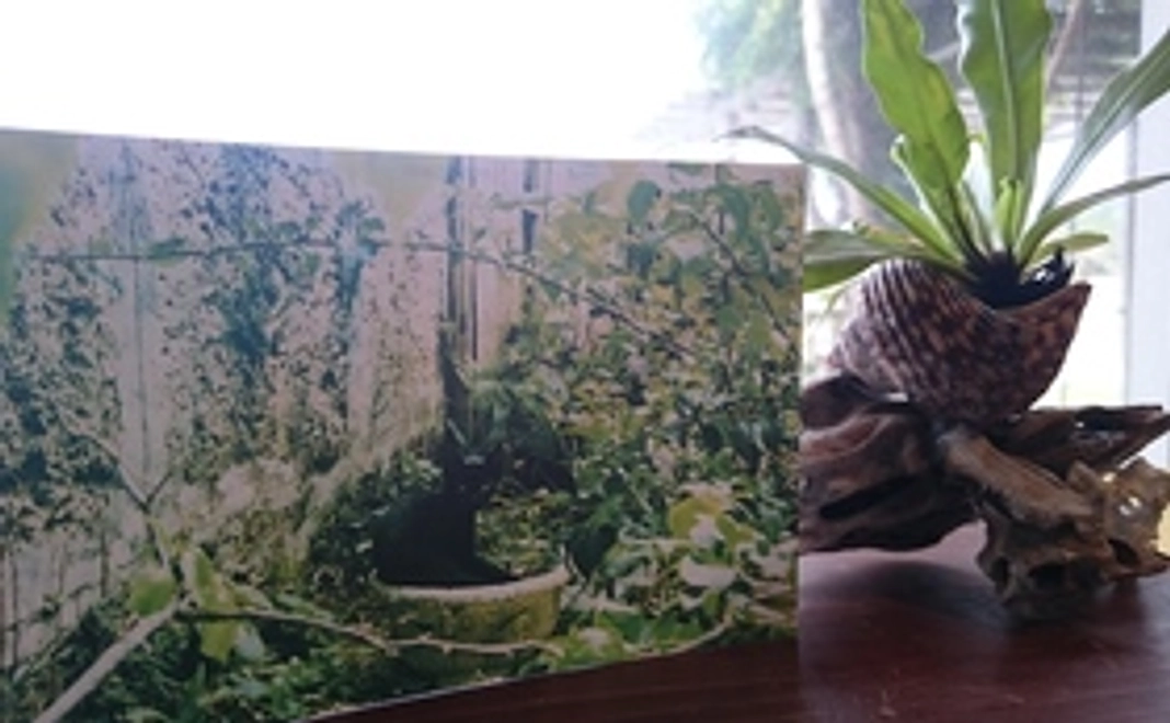 【学生の方限定】