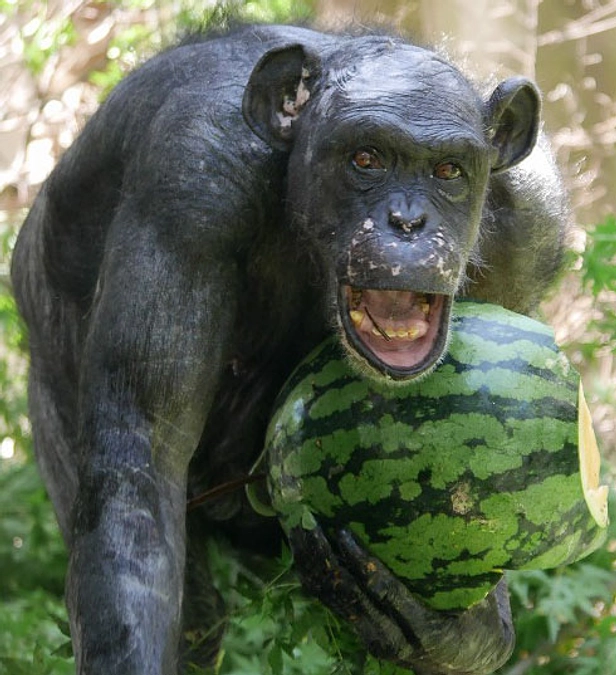 あと2日：新たなクラウドファンディング開始！