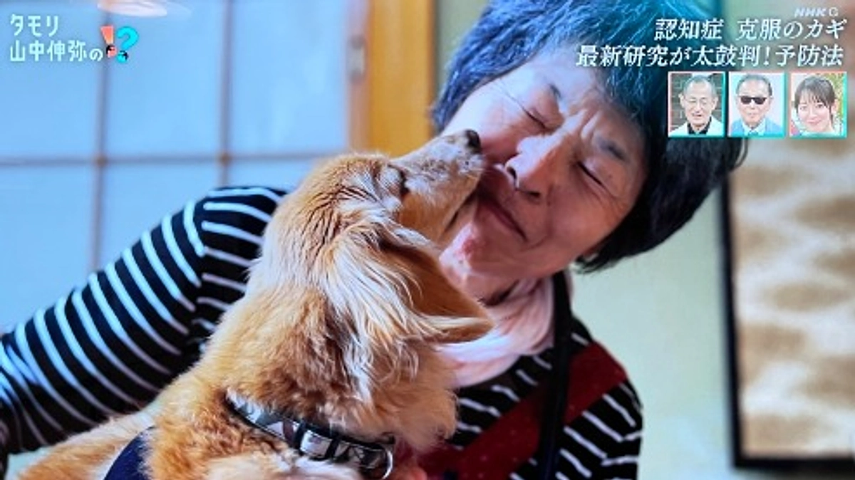 【シニアドッグサポーターで幸せになりました】NHK出演のピース。10年近くサークルに閉じ込められて…