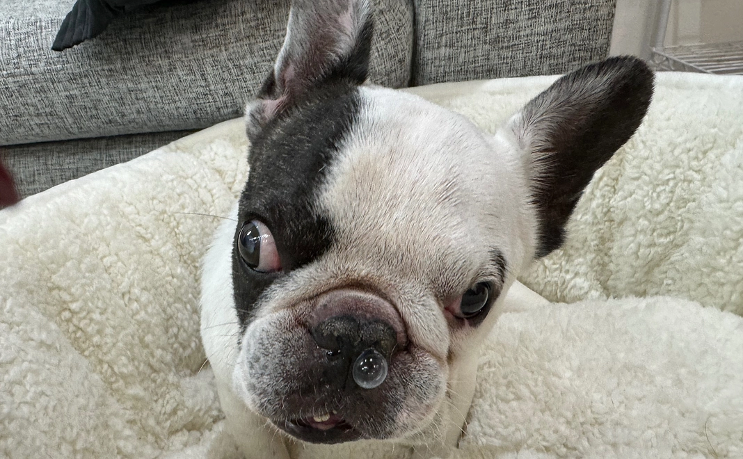 応援コース|5千円