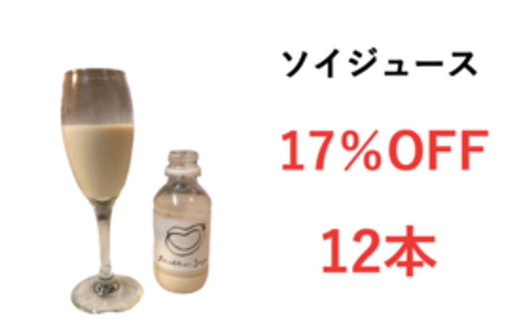 【17％OFF・12本】ソイジュースコース