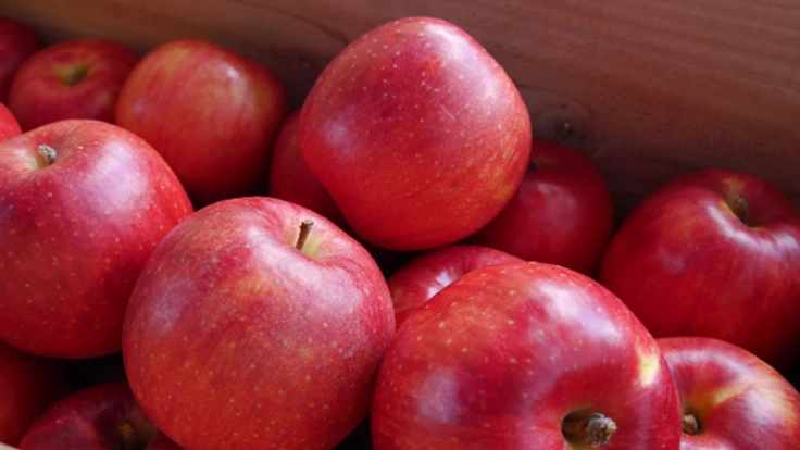 フルーツのまち南部町で『ききリンゴ世界大会』を開催