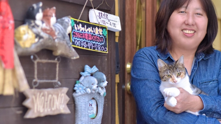 100匹の保護猫がいる秩父のシェルターの運営サポーター募集！
