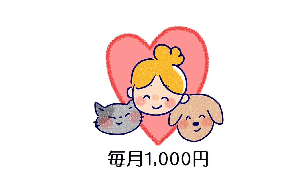 老犬・老猫をとにかく応援したい！1000円コース