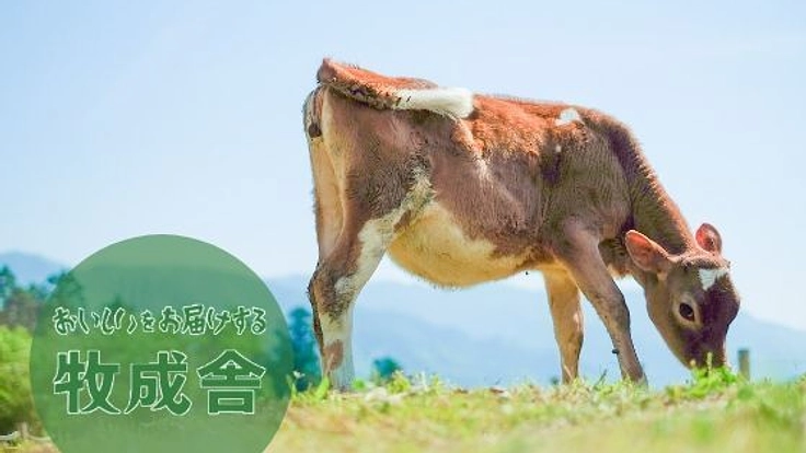 命の誕生を祝福したい。雄ジャージー牛を飼育する牛舎の増築を。
