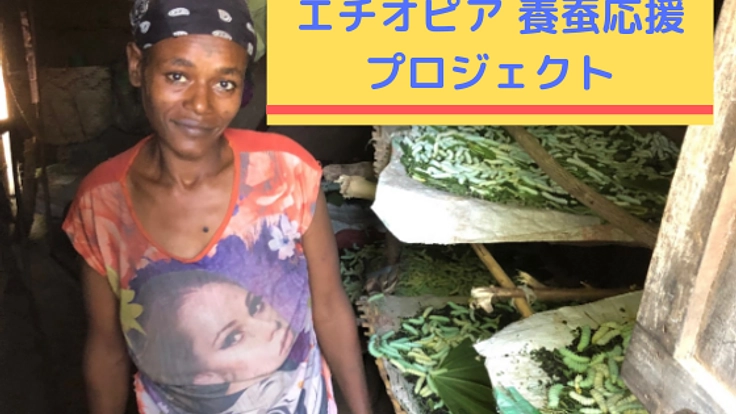エチオピア養蚕業発展の第一歩！農家さんに養蚕冊子を届けたい