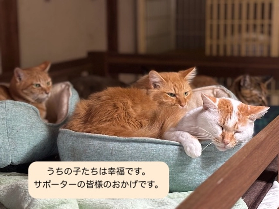 お礼とお知らせ２０２４年１０月３１日