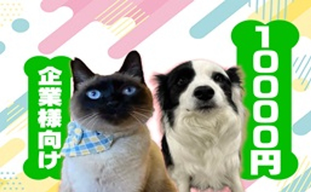 毎月10000円コース