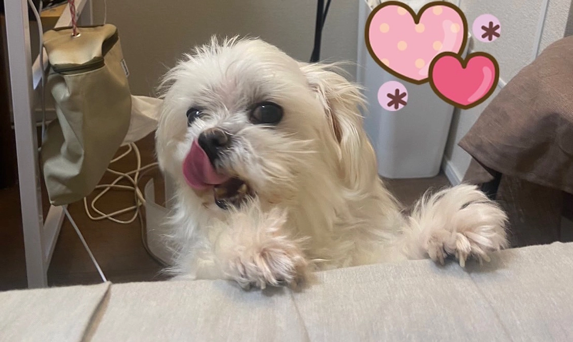 かわいい子 お疲れ様でした🥲