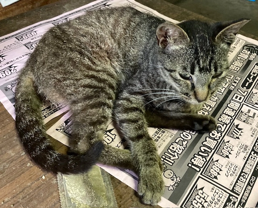 明日も、行ってきます！