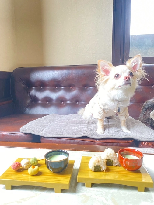 🐾【ドッグウィーク開催レポ＆Vol.2のお知らせ】🐾