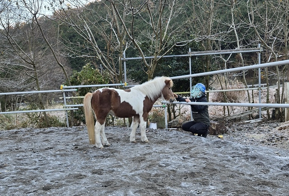 あけましておめでとうございます