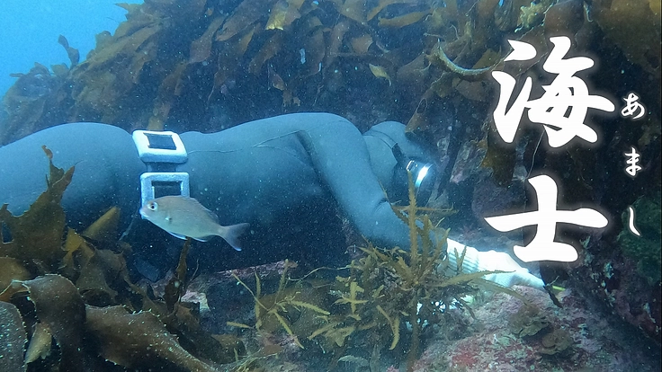 三崎の赤ウニブランド化!日本一へ ~ウニの街 佐田岬の実現~ 2枚目