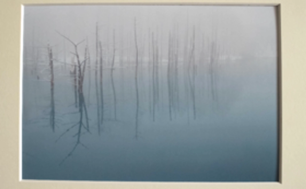 美瑛の写真(A4サイズ)、美瑛のしおり