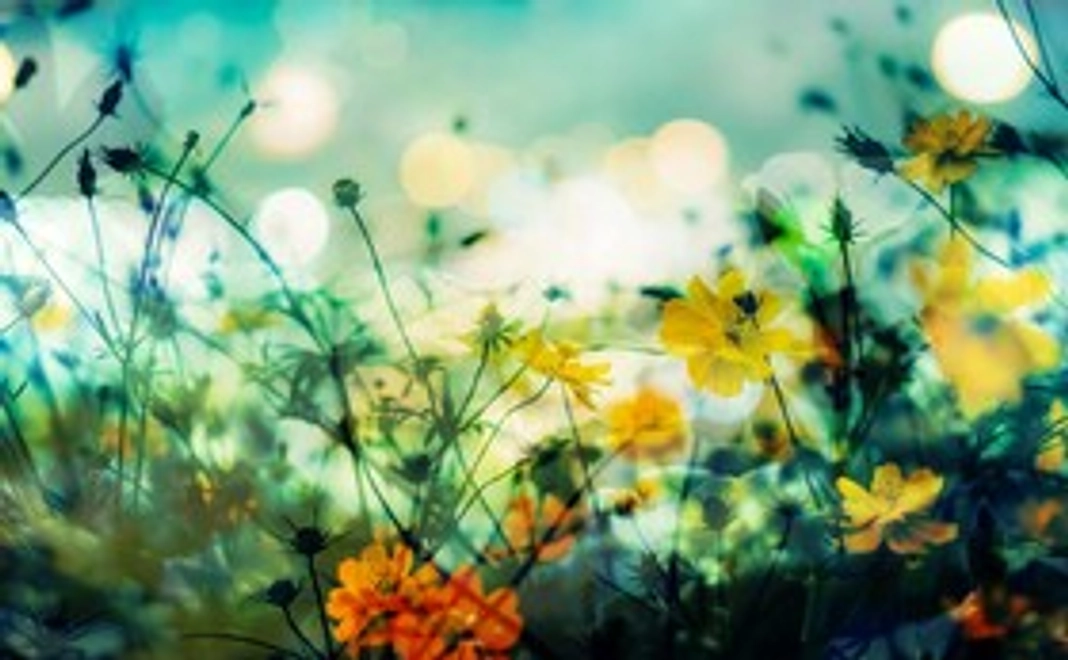 感謝のメールと活動報告