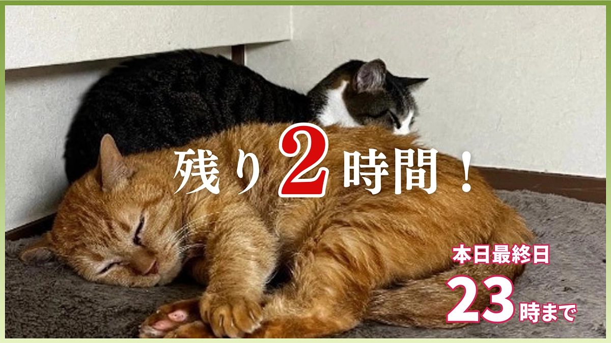 残り2時間｜おかげさまでネクストゴール達成も見えてきました