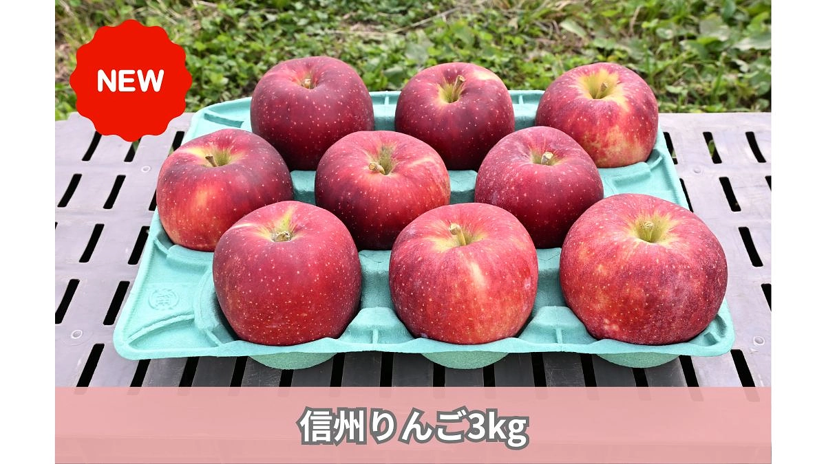 【追加リターンのご案内】信州りんご3kgコース