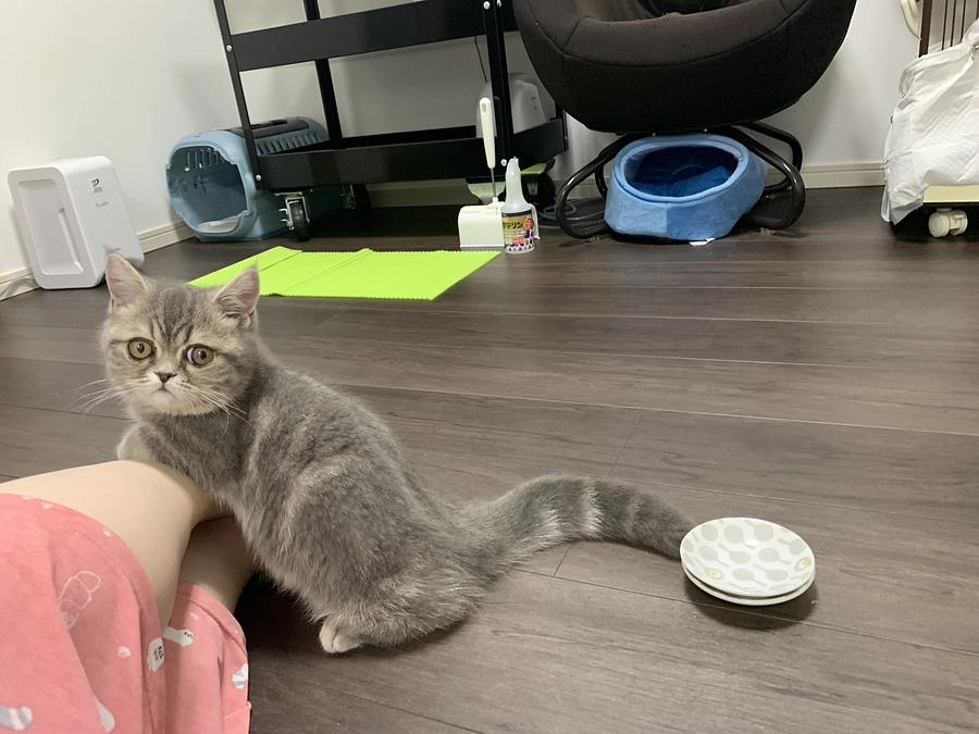 7/10はじめての検査.5