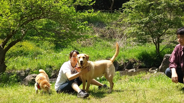多頭飼育現場から愛で助けよう！