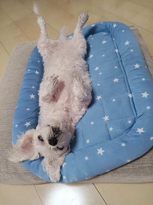 充血、食欲低下