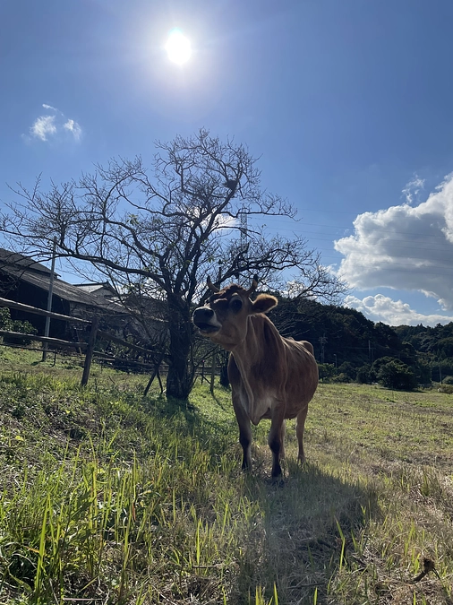 柵を広げました✨