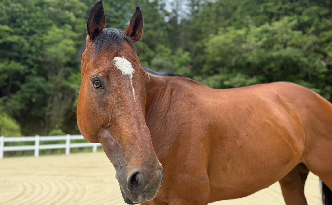 リトレースサポーター【5000円コース】
