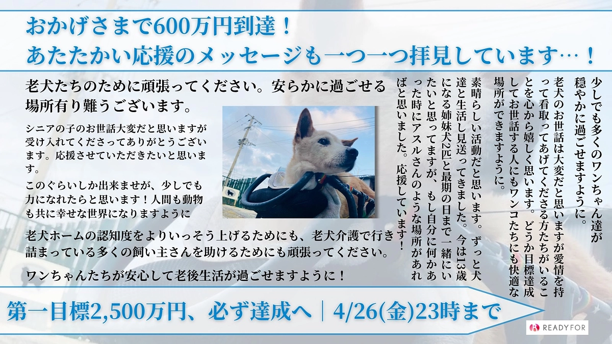 皆様のお力添えに心より感謝申し上げます！！