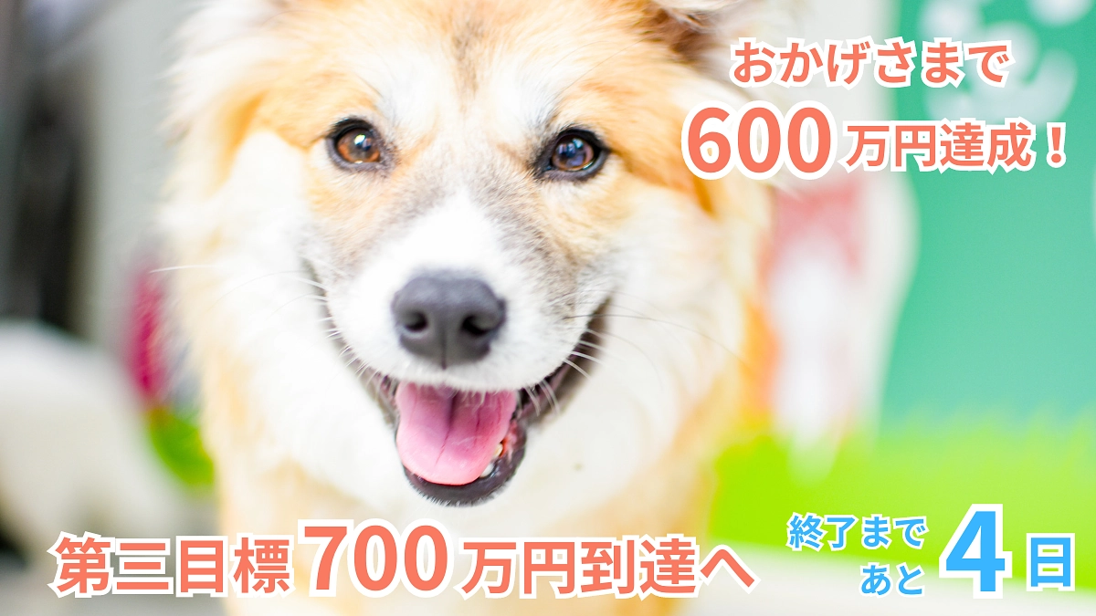 あと4日！【第二目標達成しました！】皆様からのあたたかい応援メッセージのご紹介